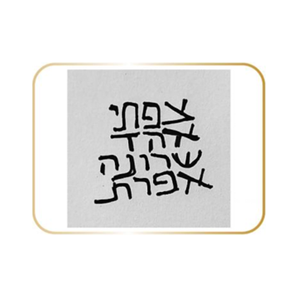 אוהד צפתי ושרונה אפרת לוגו